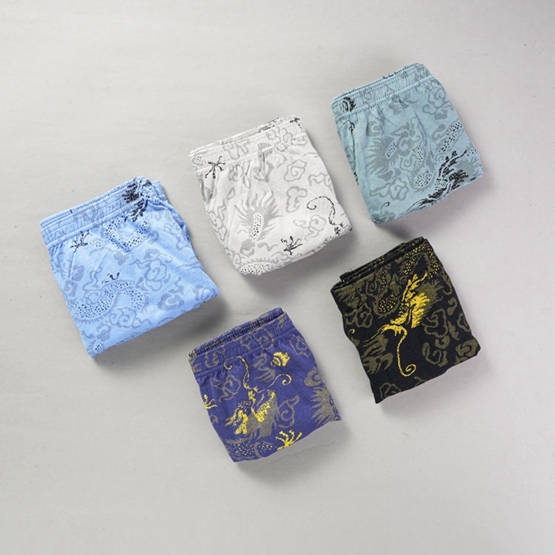 남성용 프린트 브리프 언더팬츠 속옷, 느슨한 플루 사이 - Multi Pack Underwear 리뷰 및 가격