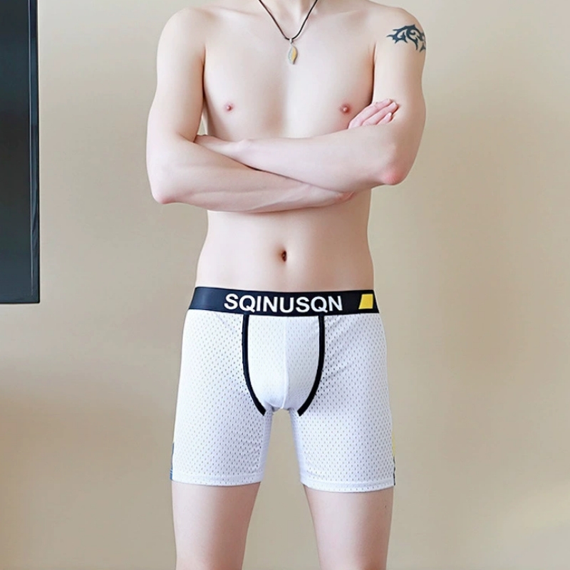 남성용 아이스 실크 메쉬 복서 브리프 M-3XL 통기성 - Mesh Sport Boxer 리뷰 및 가격